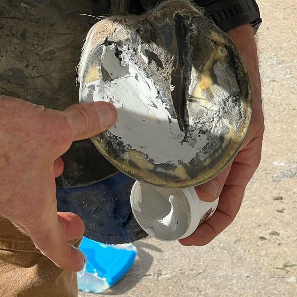 ARTIMUD Antifungal Hoof Clay