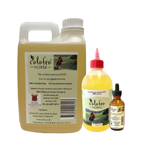 Calafea Oil