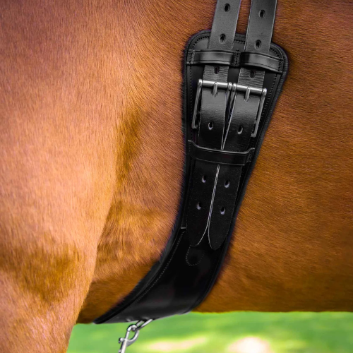 Tamarro Anatomic Leather Dressage Girth