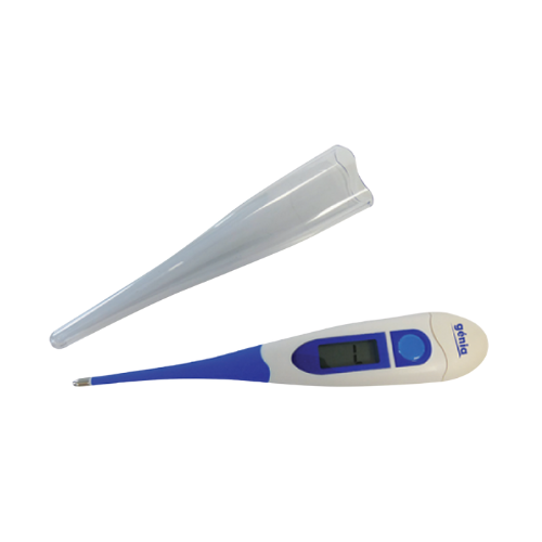 Digiflash Thermometer