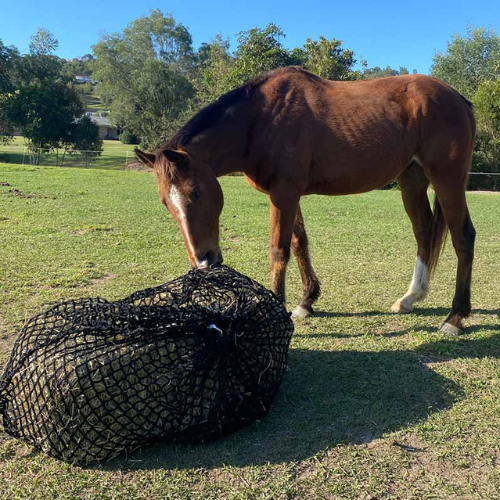 Large DELUXE KNOTLESS Slow Feeder Net 4cm