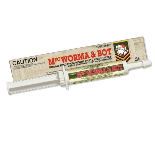 MecWorma and Bot