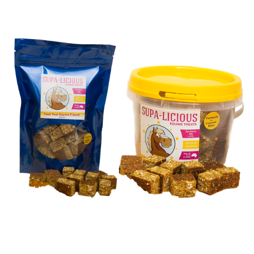 Supa-licious Equine Treats - Turmeric and Coconut Bites