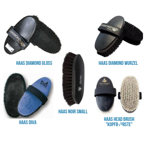 HAAS Show Grooming Brush Set