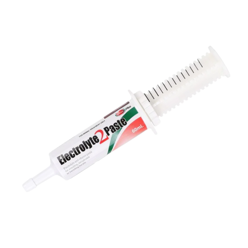 Value Plus Electrolyte 2 Paste for Horses 60mL