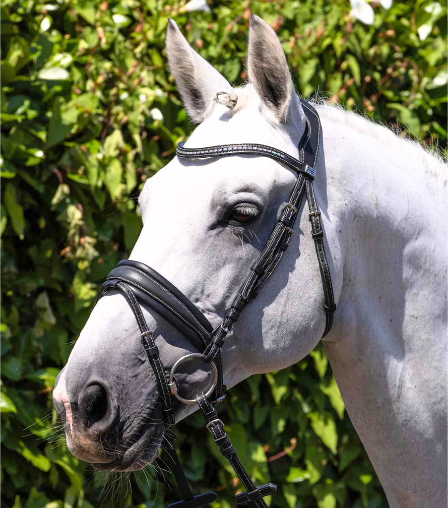 Veneto Anatomical Snaffle Bridle Black