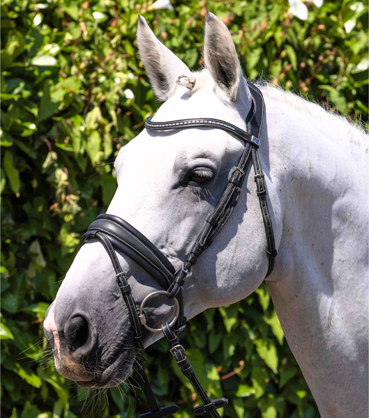 Veneto Anatomical Snaffle Bridle Black