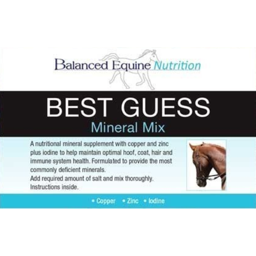 Balanced Equine Best Guess