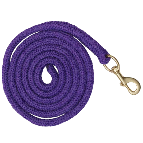 Braided PP Lead - Purple