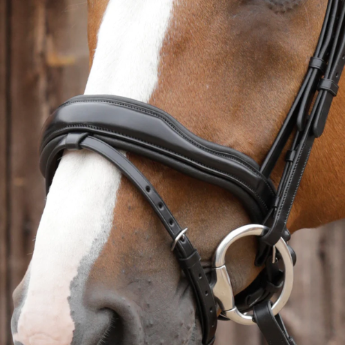 Favoloso Anatomic Bridle with Crank Noseband