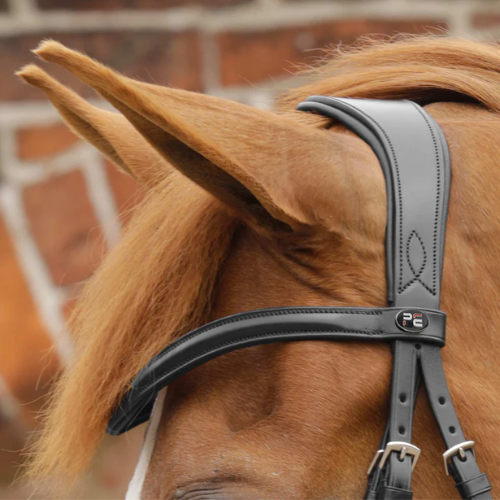 Favoloso Anatomic Bridle with Crank Noseband