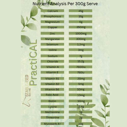 Stable-Ised Equine PractiCAL (NO AFTERPAY)