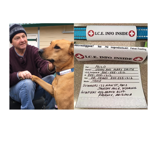 I.C.E. Collar ID For Dogs