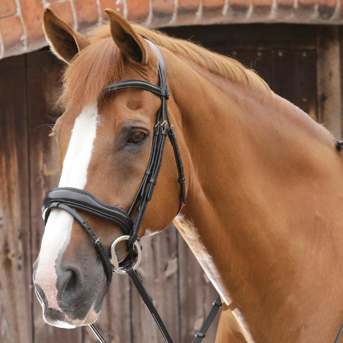 Favoloso Anatomic Bridle with Crank Noseband