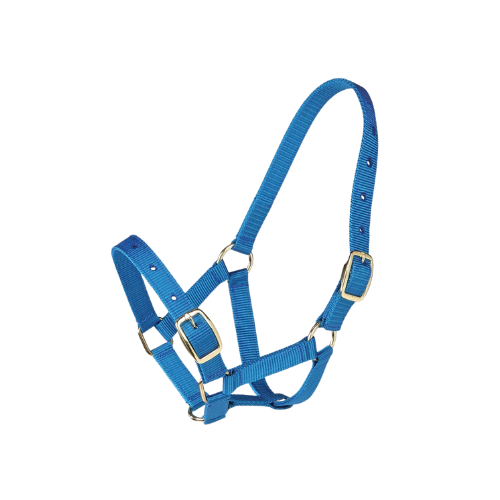 Gymkhana Foal Halter - Royal Blue