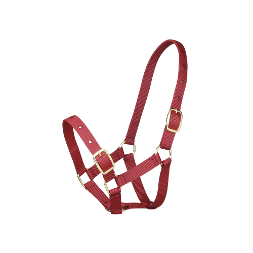 Gymkhana Foal Halter - Burgundy