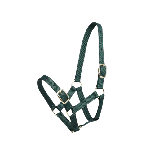 Gymkhana Foal Halter - Hunter Green