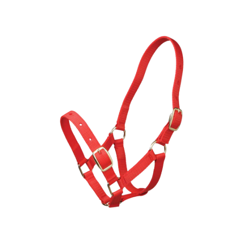 Gymkhana Foal Halter - Red