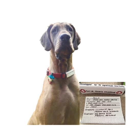 I.C.E. Collar ID For Dogs Guardian Horse Products