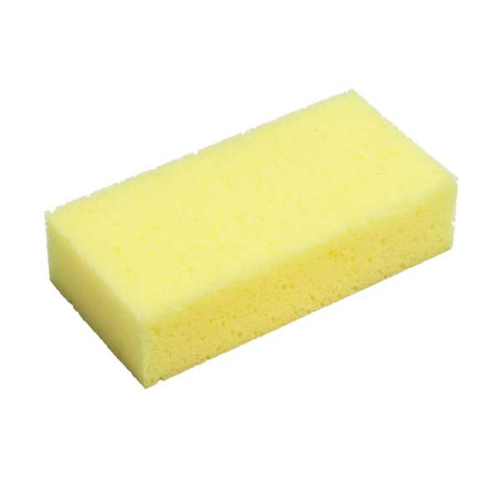 Large Sponge