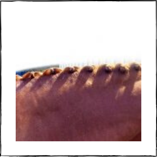 NTR Plait Booster – Synthetic Hair