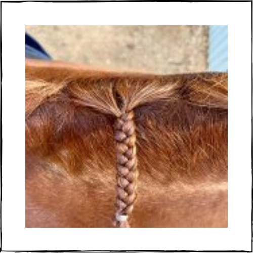 NTR Plait Booster – Synthetic Hair