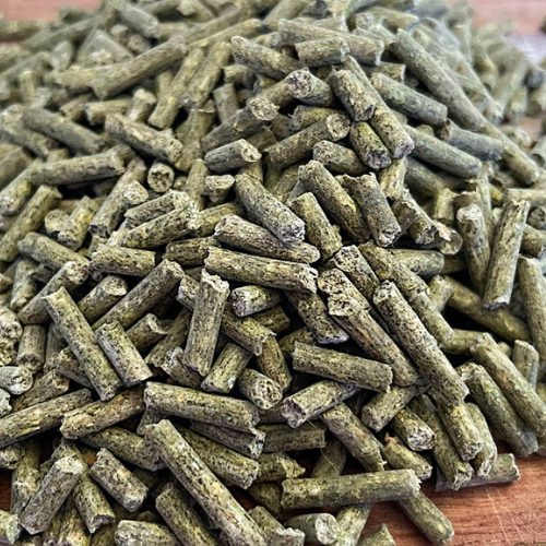 Stable-Ised Equine PractiCAL (NO AFTERPAY)