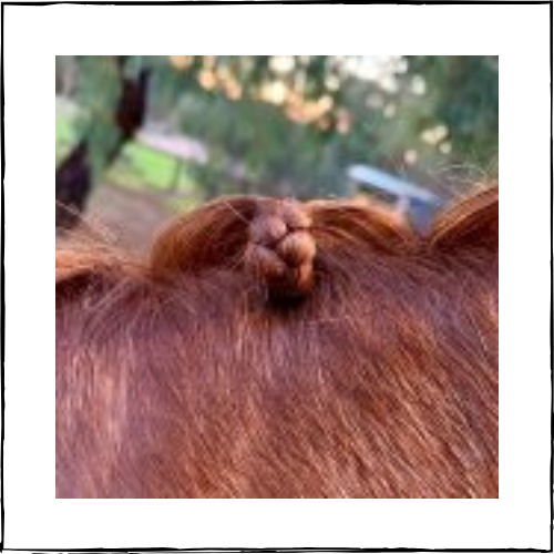 NTR Plait Booster – Synthetic Hair