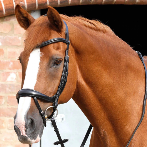 Savuto Anatomic Bridle with Crank Noseband and Flash