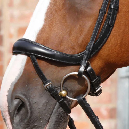 Savuto Anatomic Bridle with Crank Noseband and Flash