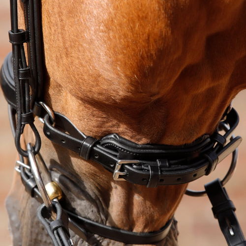 Savuto Anatomic Bridle with Crank Noseband and Flash