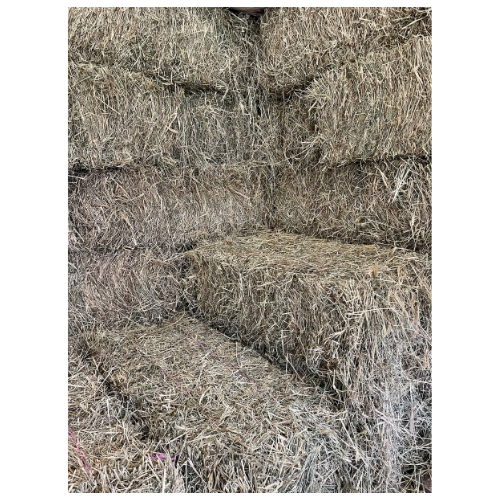 Rhodes Hay - Square Bale (NO AFTERPAY)