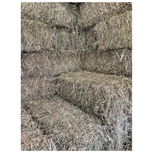 Rhodes Hay - Square Bale (LIMIT OF 1 BALE PER CUSTOMER)