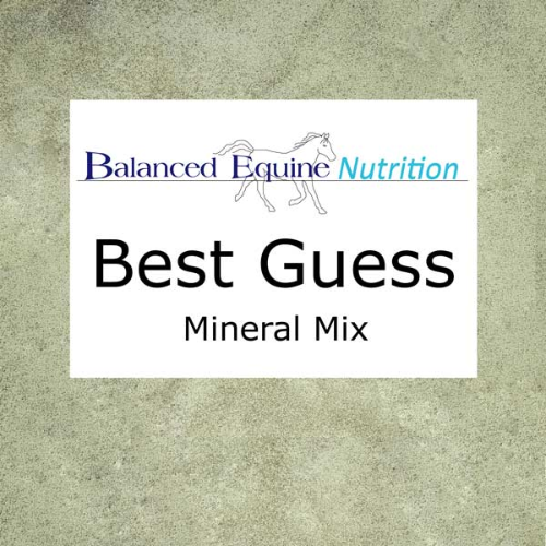 Balanced Equine Best Guess