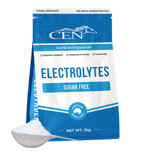 CEN Horse Electrolytes Supplement - 2kg