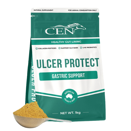 CEN Ulcer Protect - Gastric Support - 1kg