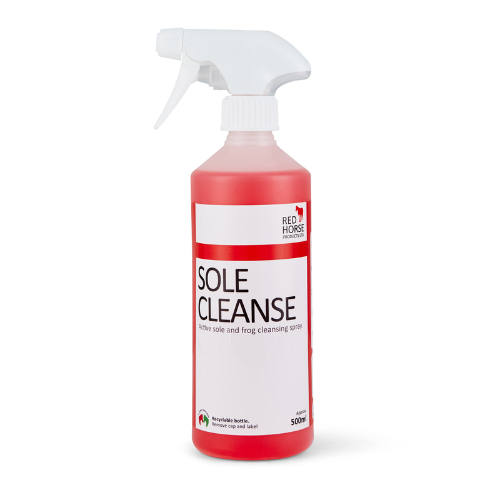 SOLE CLEANSE