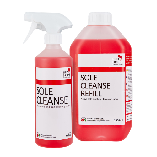 SOLE CLEANSE