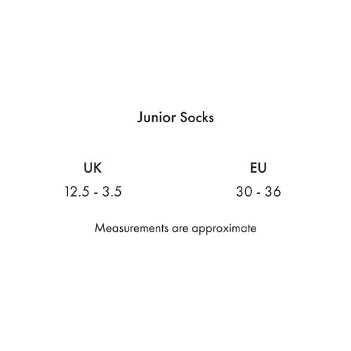 Kids 4 Season Socks (2 Pairs) Classic Check