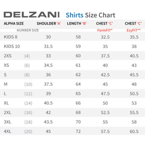Delzani Dixie Air Technical Training Shirt ULTIMATE GREY