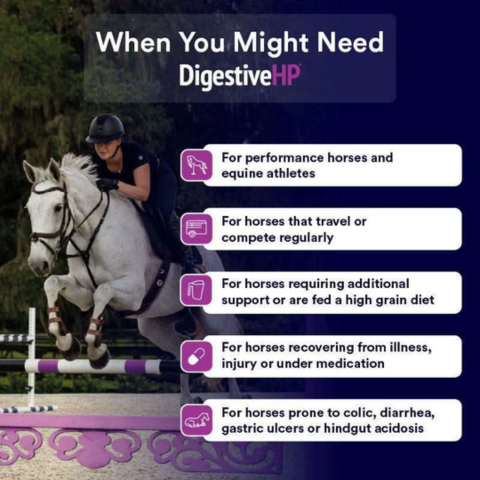 DigestiveHP 4kg