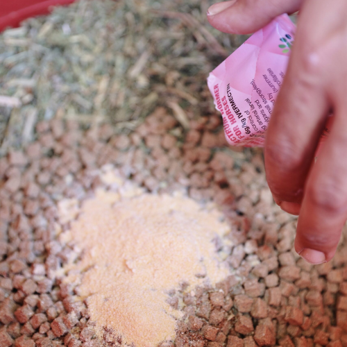 EASYMEC™ In Feed Broad Spectrum Wormer and Boticide for Horses