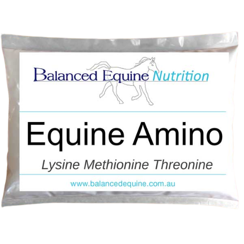 Balanced Equine Equine Amino