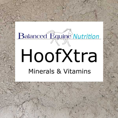 Balanced Equine HoofXtra