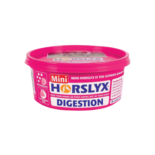 Horslyx Digestion Mini Vit and Mineral Lick 650g