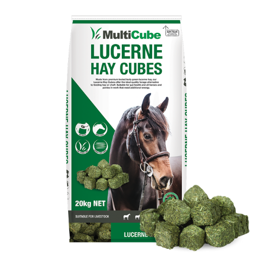 MultiCube Lucerne Hay Cubes