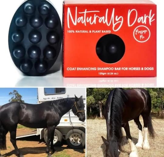 NATURALLY DARK - Coat Enhancing Shampoo Bar for Horses and Dogs