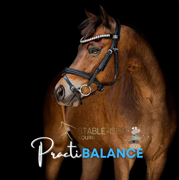 Stable-Ised Equine PractiBALANCE (NO AFTERPAY)