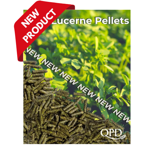 QPD Lucerne Pellets
