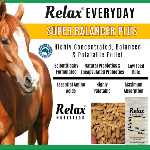 Relax Super Balancer Plus